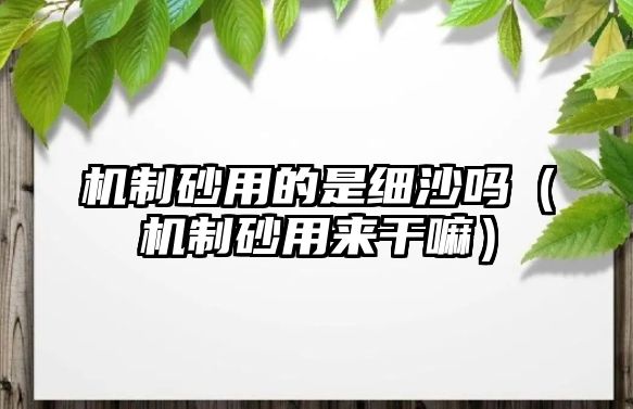 機(jī)制砂用的是細(xì)沙嗎（機(jī)制砂用來(lái)干嘛）