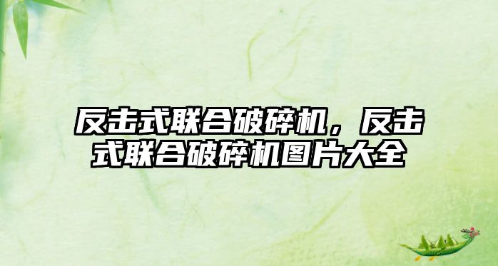 反擊式聯(lián)合破碎機，反擊式聯(lián)合破碎機圖片大全