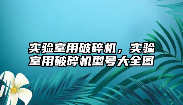 實驗室用破碎機，實驗室用破碎機型號大全圖