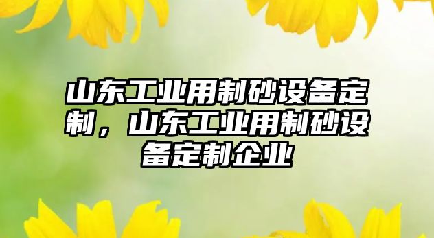 山東工業(yè)用制砂設(shè)備定制，山東工業(yè)用制砂設(shè)備定制企業(yè)