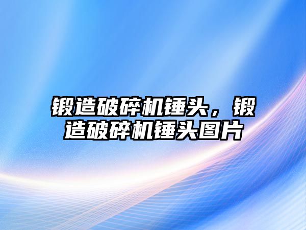 鍛造破碎機錘頭，鍛造破碎機錘頭圖片