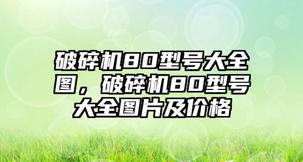 破碎機(jī)80型號(hào)大全圖，破碎機(jī)80型號(hào)大全圖片及價(jià)格