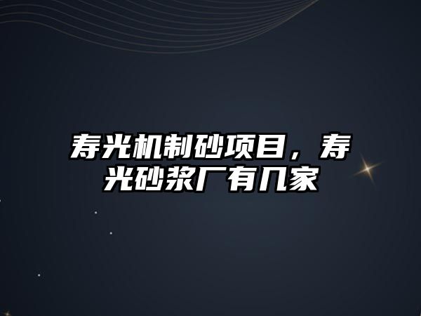 壽光機制砂項目，壽光砂漿廠有幾家